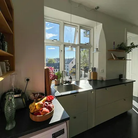 Altan Og Charme Fra 1800-tallet Ved Soerne Kopenhagen